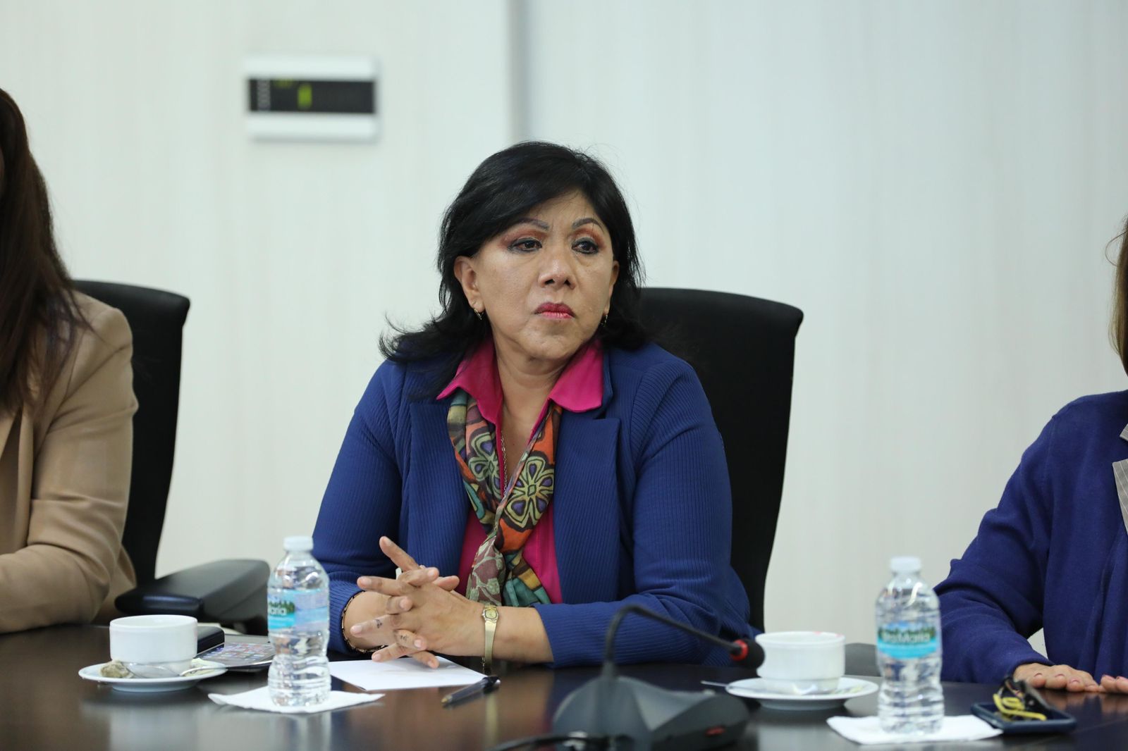 Senadora Anabell Ávalos Zempoalteca en reunión con la COPPPAL confirma voto en contra de la Reforma al Poder Judicial
